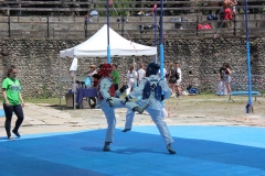 IMG_6381