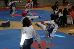 IMG_9019
