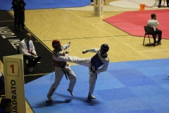 IMG_8080